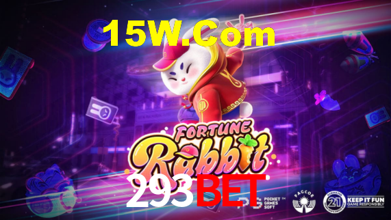 293bet App Interface